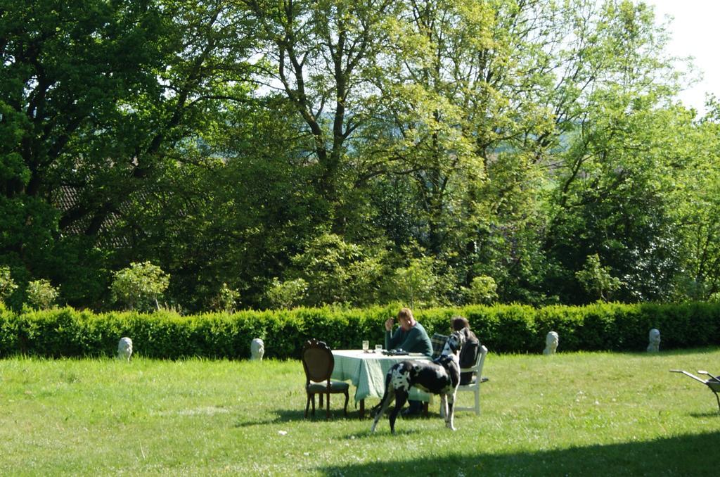 Chateau Neufays Theux